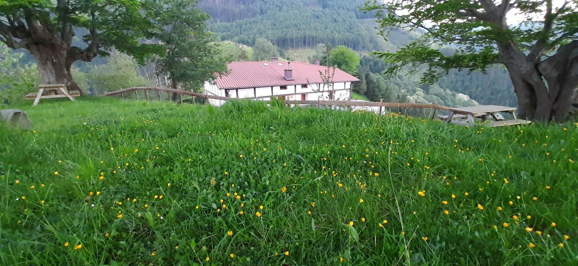 Ondarbaso Apartamentos Rurales I Zestoa Exterior photo