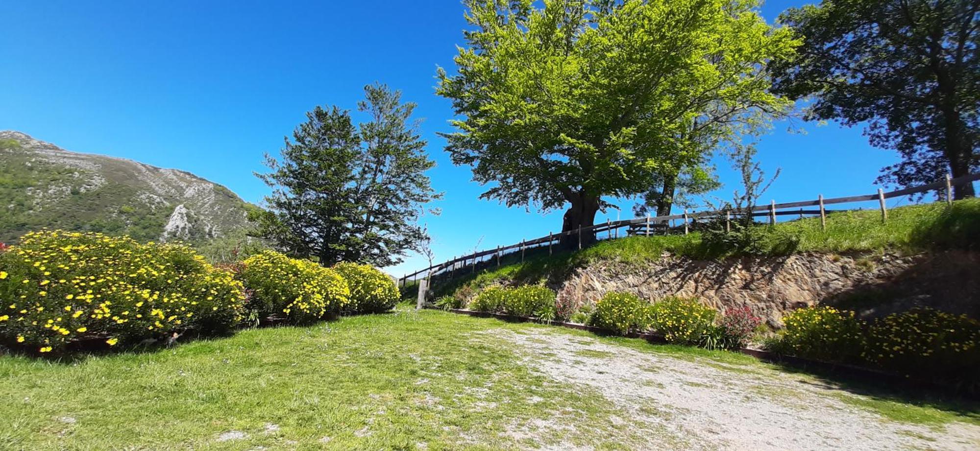 Ondarbaso Apartamentos Rurales I Zestoa Exterior photo